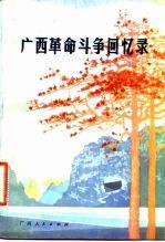 广西革命斗争回忆录