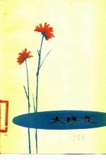 太阳花 诗集