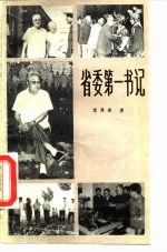 省委第一书记 中篇报告文学