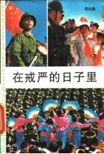 在戒严的日子里