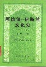 阿拉伯-伊斯兰文化史 第6册 正午时期 2