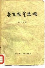 岳飞抗金史略