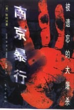 南京暴行 被遗忘的大屠杀