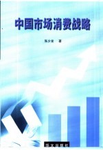 中国市场消费战略