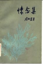 怀念集
