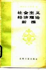 社会主义经济理论新探