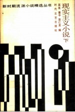 现实主义小说 下