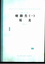 四川自贡大山铺中侏罗世恐龙动物群 第3集 蜥脚类 1 蜀龙