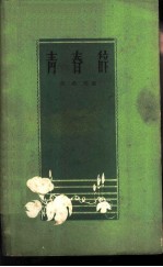 青春辞