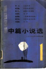 1981中篇小说选