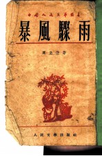 暴风聚雨 下
