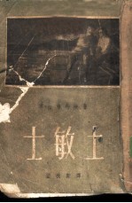 士敏土 小说