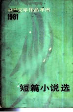 短篇小说选