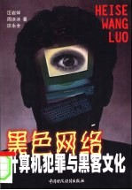 黑色网络 计算机犯罪与黑客文化
