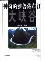神奇的雅鲁藏布江大峡谷