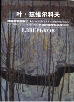 当代俄罗斯画家作坊 叶·兹维尔科夫 画册