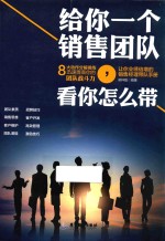 给你一个销售团队,看你怎么带