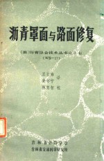 （美）沥青协会技术丛书 17 WS-17 沥青罩面与路面修复
