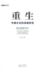 重生 中国企业的战略转型 施炜 著