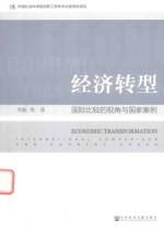 经济转型 国际比较的视角与国家案例