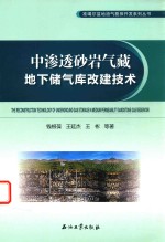 中渗透砂岩气藏地下储气库改建技术
