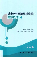城市水体环境及其治理 案例分析
