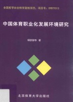 中国体育职业化发展环境研究