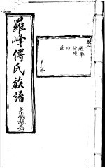 罗峰传氏族谱 第2卷