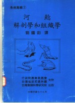 河鲶解剖学和组织学