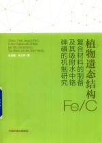 植物遗态结构Fe/C复合材料的制备及其吸附水中铬、砷、磷的机制研究