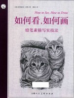 如何看,如何画 铅笔素描写实技法