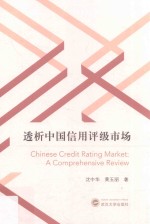 透析中国信用评级市场