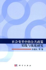社会变革中的公共政策实践与优化研究