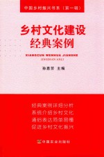 乡村文化建设经典案例