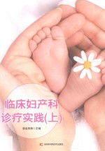 临床妇产科诊疗实践 第2版 上