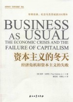 世界经济“反思与镜鉴”译丛 资本主义的冬天 经济危机和资本主义的失败