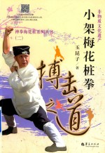 非物质文化遗产 小架梅花桩拳 搏击道