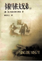 卡拉马佐夫兄弟 上