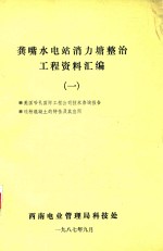 龚嘴水电站消力塘整治工程资料汇编 1