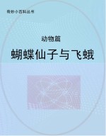 蝴蝶仙子与飞蛾 动物篇