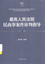 最高人民法院民商事案件审判指导 第2卷