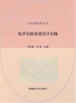 电学实验改进设计实践