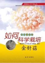 如何科学栽培金针菇