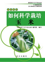 如何科学栽培玉米