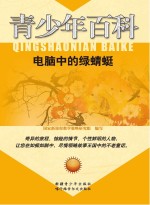 电脑中的绿蜻蜓
