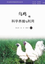 乌鸡的科学养殖与利用