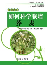 如何科学栽培荞麦