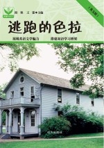 逃跑的色拉 26