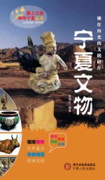 塞上江南神奇宁夏丛书 宁夏文物