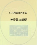 神奇昆虫细研